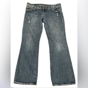 American Eagle AE Artist Classic Blue Women's Jeans Size 10 Short